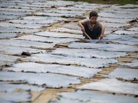 Bablu, who is 8 years old, is working at a tannery to earn one dollar a day in a low-income area in Dhaka, Bangladesh, on May 8, 2024. Altho...