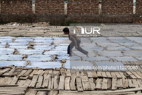 Bablu, who is 8 years old, is working at a tannery to earn one dollar a day in a low-income area in Dhaka, Bangladesh, on May 8, 2024. Altho...