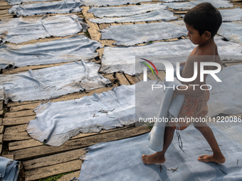 A child is carrying leather pieces to dry them at a tannery in a low-income area in Dhaka, Bangladesh, on May 8, 2024. Despite the labor law...