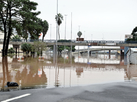 Volunteers, public security bodies, and the Armed Forces are currently working intensively to assist the population of Rio Grande do Sul, wh...