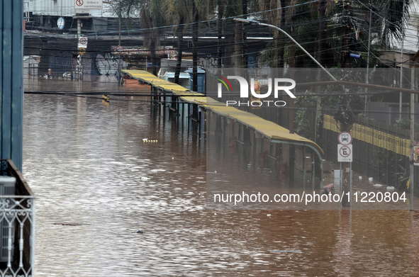 Volunteers, public security bodies, and the Armed Forces are currently working intensively to assist the population of Rio Grande do Sul, wh...