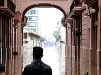 Volunteers, public security bodies, and the Armed Forces are currently working intensively to assist the population of Rio Grande do Sul, wh...