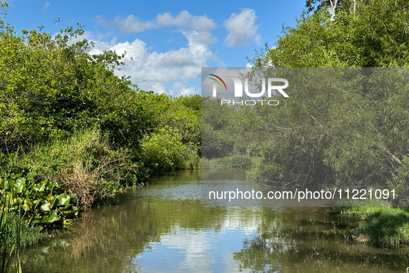 A view in Everglades National Park, United States on May 6, 2024. 