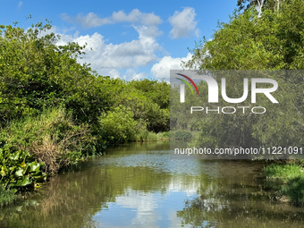 A view in Everglades National Park, United States on May 6, 2024. (