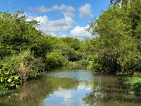 A view in Everglades National Park, United States on May 6, 2024. (