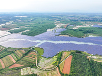 Solar photovoltaic panels are being lined up at the Gaogang Village photovoltaic power generation base in Yichun, China, on May 8, 2024. (