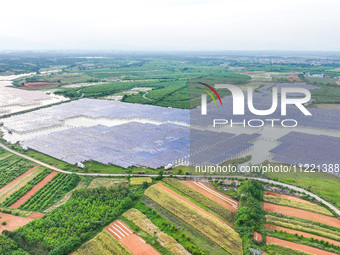 Solar photovoltaic panels are being lined up at the Gaogang Village photovoltaic power generation base in Yichun, China, on May 8, 2024. (