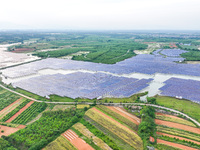 Solar photovoltaic panels are being lined up at the Gaogang Village photovoltaic power generation base in Yichun, China, on May 8, 2024. (