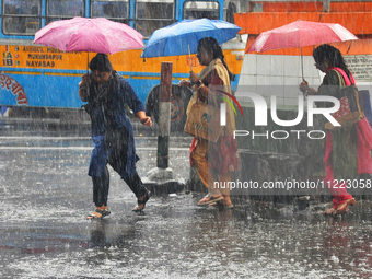 Women are holding umbrellas as they walk in the monsoon rain in Kolkata, India, on May 9, 2024. (