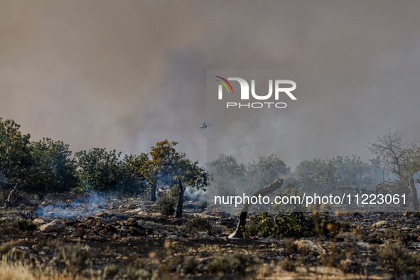 A helicopter is operating during a fire in Limassol, Cyprus, on May 9, 2024. The wildfire, which broke out in the Industrial Zone of Ipsonas...