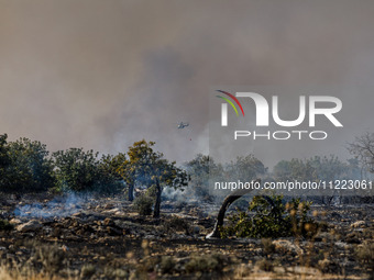 A helicopter is operating during a fire in Limassol, Cyprus, on May 9, 2024. The wildfire, which broke out in the Industrial Zone of Ipsonas...