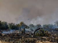 A helicopter is operating during a fire in Limassol, Cyprus, on May 9, 2024. The wildfire, which broke out in the Industrial Zone of Ipsonas...