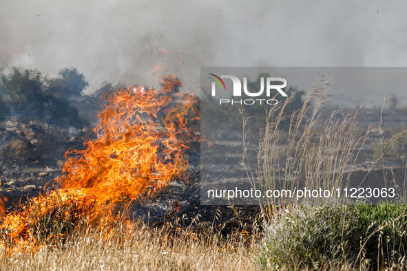 A small fire is burning wild vegetation in Limassol, Cyprus, on May 9, 2024. The wildfire, which broke out in the Industrial Zone of Ipsonas...