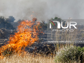 A small fire is burning wild vegetation in Limassol, Cyprus, on May 9, 2024. The wildfire, which broke out in the Industrial Zone of Ipsonas...