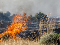 A small fire is burning wild vegetation in Limassol, Cyprus, on May 9, 2024. The wildfire, which broke out in the Industrial Zone of Ipsonas...