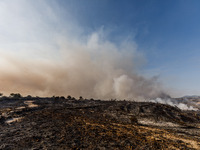 Smoke is rising over the burnt area in Limassol, Cyprus, on May 9, 2024. A wildfire is breaking out at the Industrial Zone of Ipsonas, a few...