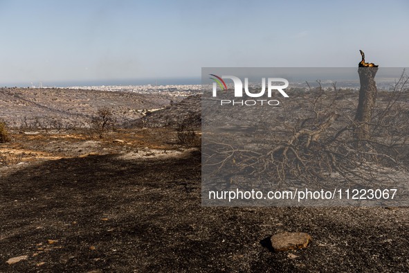 A wildfire is breaking out at the Industrial Zone of Ipsonas, a few kilometers away from the center of Limassol, Cyprus, on May 9, 2024. It...