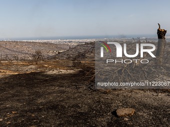 A wildfire is breaking out at the Industrial Zone of Ipsonas, a few kilometers away from the center of Limassol, Cyprus, on May 9, 2024. It...