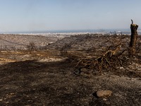 A wildfire is breaking out at the Industrial Zone of Ipsonas, a few kilometers away from the center of Limassol, Cyprus, on May 9, 2024. It...