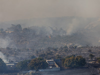 A fire is burning next to an industrial site in Limassol, Cyprus, on May 9, 2024. The wildfire, which broke out in the Industrial Zone of Ip...