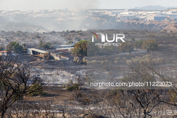 A fire is burning next to an industrial site in Limassol, Cyprus, on May 9, 2024. The wildfire, which broke out in the Industrial Zone of Ip...