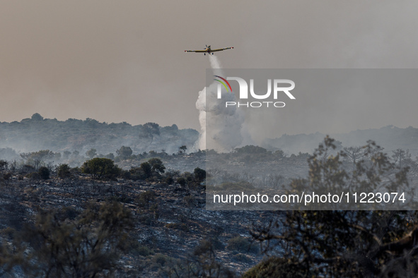 An airplane is operating during a fire in Limassol, Cyprus, on May 9, 2024. The wildfire, which broke out in the Industrial Zone of Ipsonas...