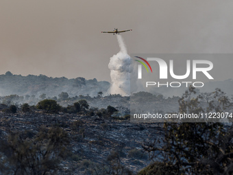 An airplane is operating during a fire in Limassol, Cyprus, on May 9, 2024. The wildfire, which broke out in the Industrial Zone of Ipsonas...