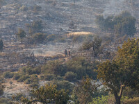 Volunteers are on site in Limassol, Cyprus, on May 9, 2024, as a wildfire is breaking out at the Industrial Zone of Ipsonas, a few kilometer...