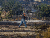 A volunteer is talking on his phone during a fire in Limassol, Cyprus, on May 9, 2024. The wildfire, which broke out in the Industrial Zone...