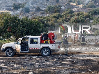 Volunteers are assisting during a wildfire in Limassol, Cyprus, on May 9, 2024. The fire, which started in the Industrial Zone of Ipsonas, a...