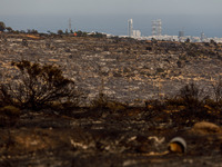 Skyscrapers are being viewed from the site in Limassol, Cyprus, on May 9, 2024. A wildfire is burning at the Industrial Zone of Ipsonas, a f...