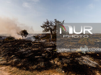 Burnt toys are being seen on site in Limassol, Cyprus, on May 9, 2024. A wildfire is breaking out at the Industrial Zone of Ipsonas, a few k...