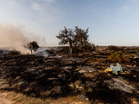 Burnt toys are being seen on site in Limassol, Cyprus, on May 9, 2024. A wildfire is breaking out at the Industrial Zone of Ipsonas, a few k...