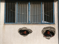 Displaced Palestinians are looking through a hole in the wall of a school after returning to Khan Yunis in the southern Gaza Strip amid the...