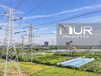 Construction workers are installing spacer rods at a high altitude at the site of a 500-kilovolt line renovation project in Wuxi, Jiangsu Pr...