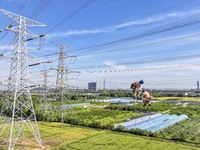 Construction workers are installing spacer rods at a high altitude at the site of a 500-kilovolt line renovation project in Wuxi, Jiangsu Pr...