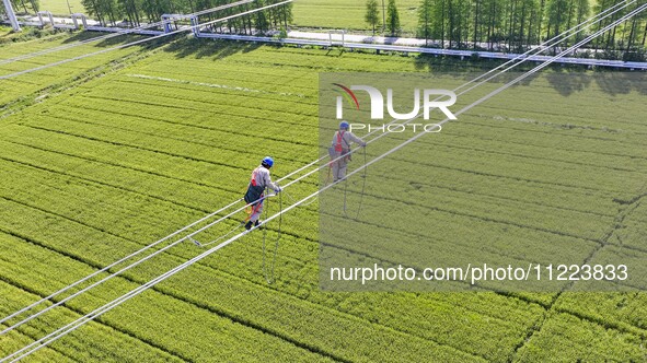 Construction workers are installing spacer rods at a high altitude at the site of a 500-kilovolt line renovation project in Wuxi, Jiangsu Pr...