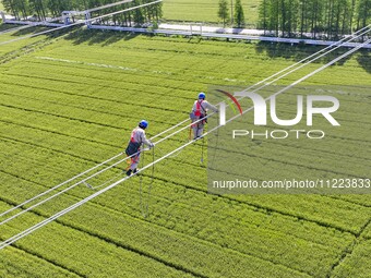 Construction workers are installing spacer rods at a high altitude at the site of a 500-kilovolt line renovation project in Wuxi, Jiangsu Pr...