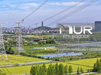 Construction workers are installing spacer rods at a high altitude at the site of a 500-kilovolt line renovation project in Wuxi, Jiangsu Pr...