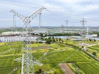 Construction workers are installing spacer rods at a high altitude at the site of a 500-kilovolt line renovation project in Wuxi, Jiangsu Pr...