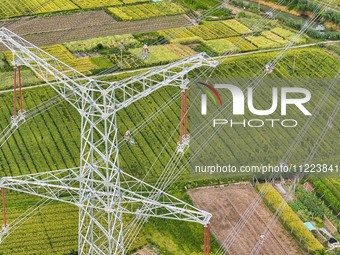 Construction workers are installing spacer rods at a high altitude at the site of a 500-kilovolt line renovation project in Wuxi, Jiangsu Pr...