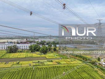 Construction workers are installing spacer rods at a high altitude at the site of a 500-kilovolt line renovation project in Wuxi, Jiangsu Pr...