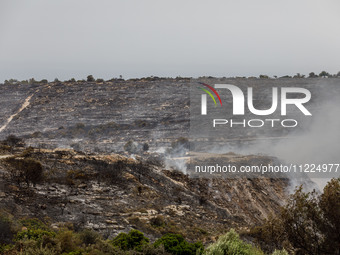 Smoke is rising as the fire continues to burn in Limassol, Cyprus, on May 10, 2024. The wildfire, which broke out yesterday, is burning most...