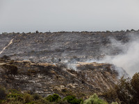 Smoke is rising as the fire continues to burn in Limassol, Cyprus, on May 10, 2024. The wildfire, which broke out yesterday, is burning most...