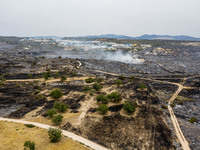 An aerial view shows the burned area in Limassol, Cyprus, on May 10, 2024. A wildfire is burning mostly wild vegetation over a six square ki...