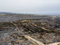 An aerial view shows the burned area in Limassol, Cyprus, on May 10, 2024. A wildfire is burning mostly wild vegetation over a six square ki...