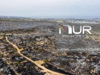 An aerial view shows the burned area in Limassol, Cyprus, on May 10, 2024. A wildfire is burning mostly wild vegetation over a six square ki...