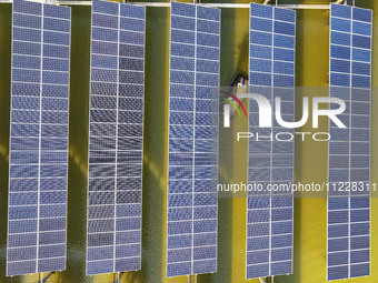 Employees of State Grid Fuzhou Power Supply Company are inspecting photovoltaic equipment in Xincuo town, Fuqing city, Fujian province, Chin...