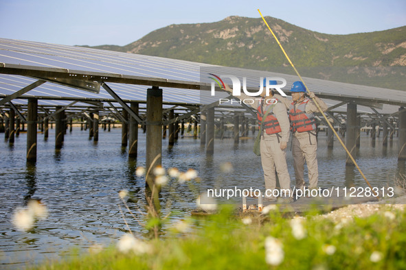 Employees of State Grid Fuzhou Power Supply Company are inspecting photovoltaic equipment in Xincuo town, Fuqing city, Fujian province, Chin...