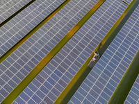 Employees of State Grid Fuzhou Power Supply Company are inspecting photovoltaic equipment in Xincuo town, Fuqing city, Fujian province, Chin...